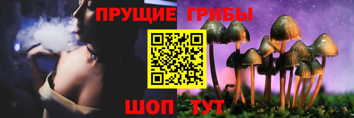 где купить наркоту  Вход с VPN  Артём  Псилоцибиновые грибы MAGIC MUSHROOMS 